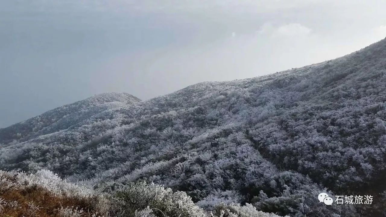 【冰雪石城】八卦脑开启雾凇模式!来一场盛大的遇见吧!