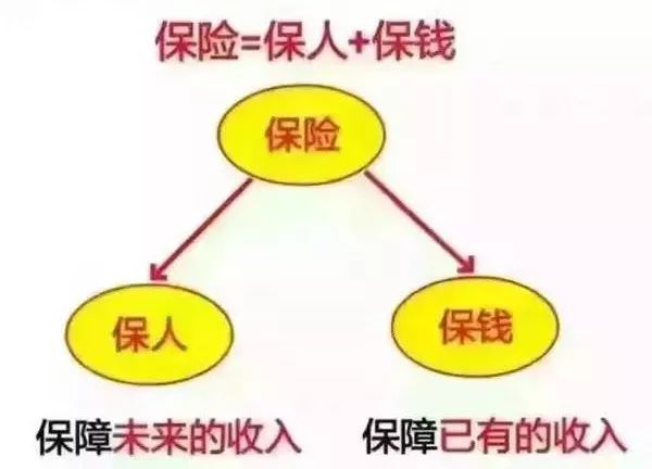 孙俪当上"女首富:绝不动用"保命钱,用保险保全资产!