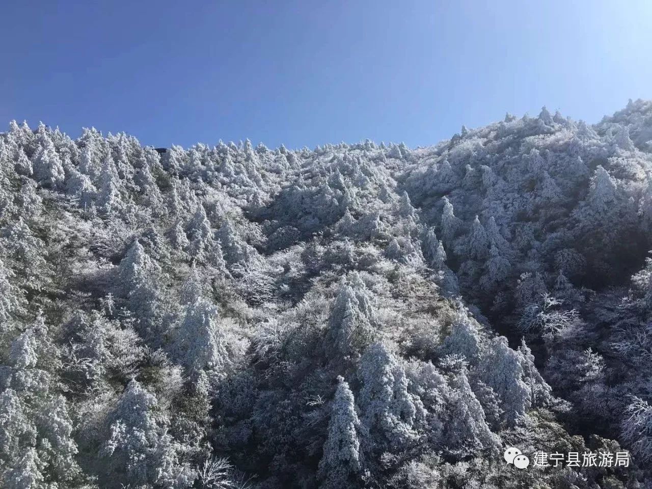 白茫茫的金铙山银装素裹,凌空木栈道,山间小木屋,小火车等都覆着一层