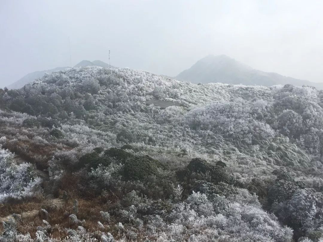 满山雾淞,冰挂奇观一夜之间,披上了银装,资兴回龙山似乎比往年都早了