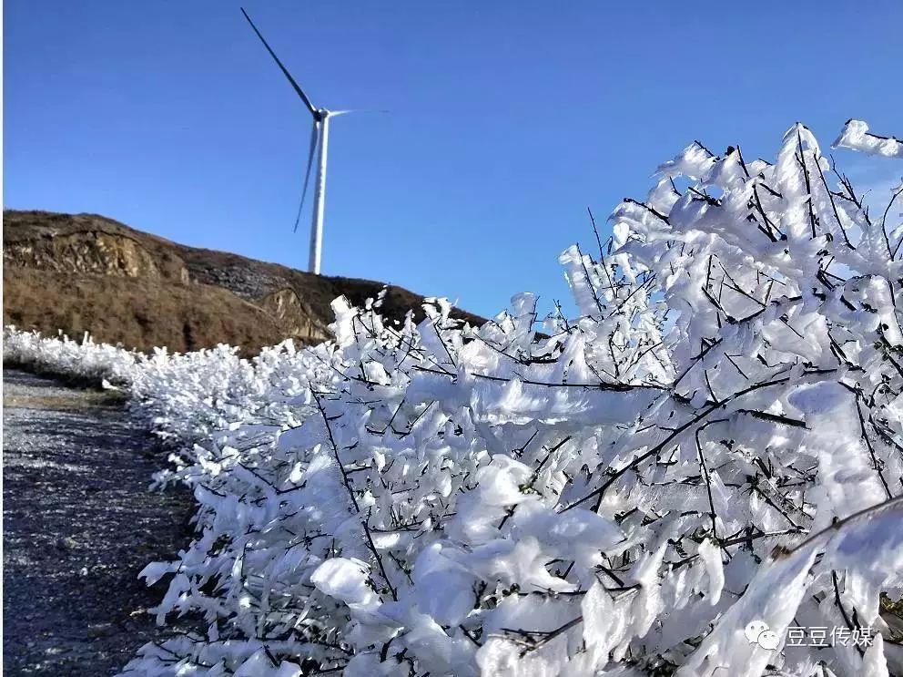 忽如一夜春风来,千树万树梨花开 今年回龙山的雪来得特别轻柔 在寂静