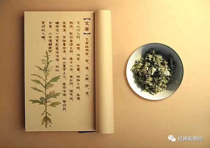 △ 《本草纲目》记载:天下艾草,以蕲州者为胜.