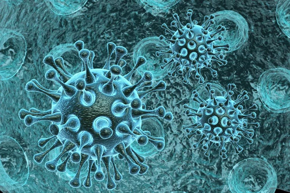 "乙型流感病毒有个特点,就是儿童患病率较高,这也是为何目前流感主要