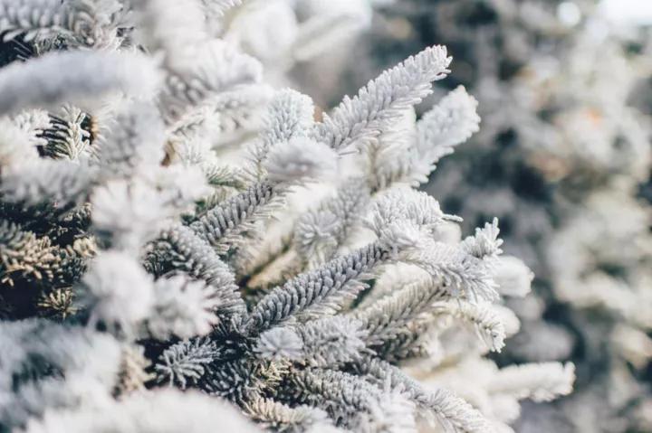 林啸傲雪，短剧中的情感与力量，林啸傲雪，情感与力量的交织短剧