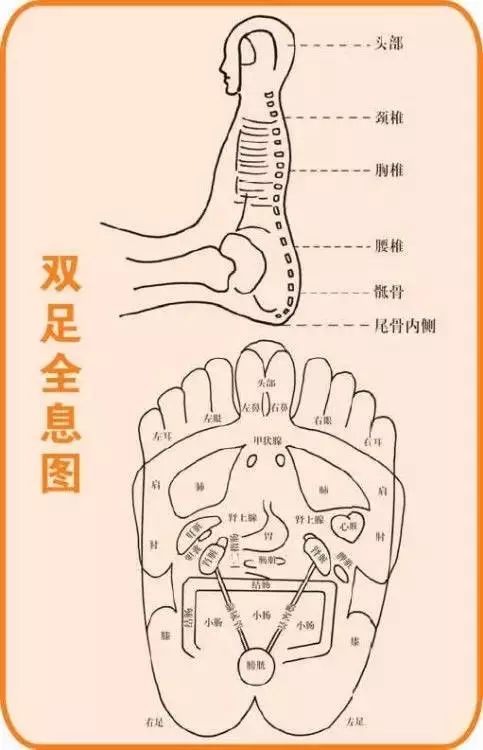 人体按摩穴位示意图(女)