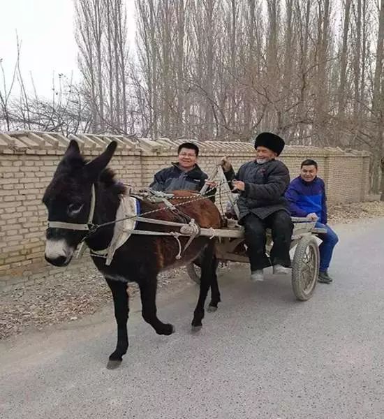 大家都早早候在了村口等着接亲戚,有的人甚至将自家的驴车也赶了过来