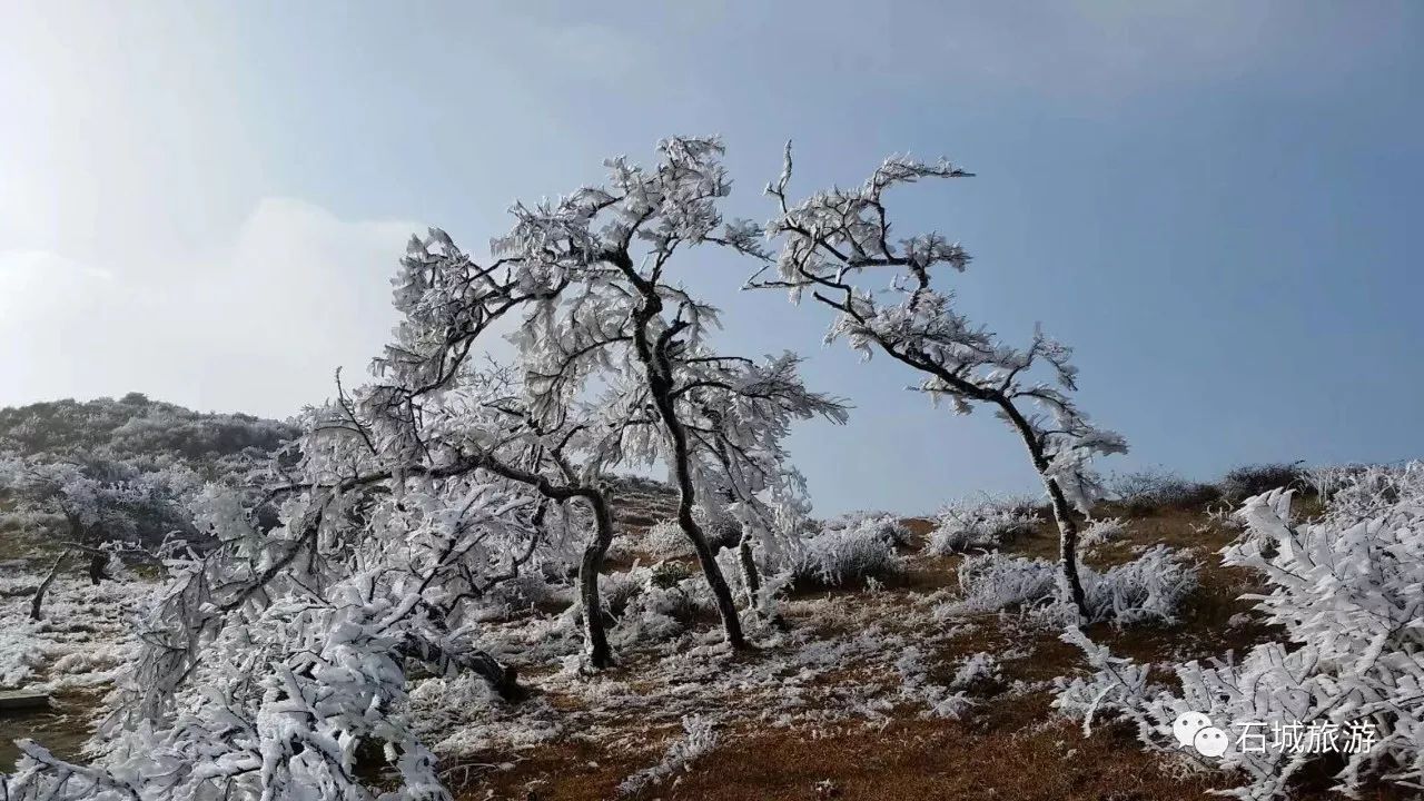 【冰雪石城】八卦脑开启雾凇模式!来一场盛大的遇见吧!