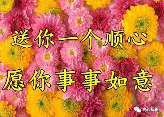 今天是农历11月的第一天第一份祝福送给你