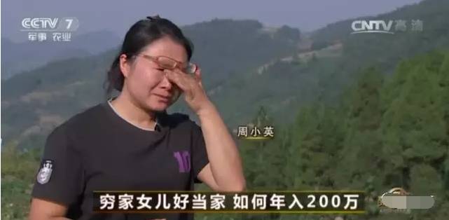 中央致富经全集_中央7套致富经_中央致富经是真的假的