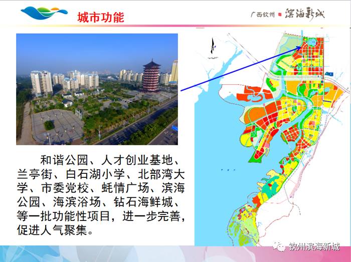 钦州滨海新城招商推介会在东盟生态园举行