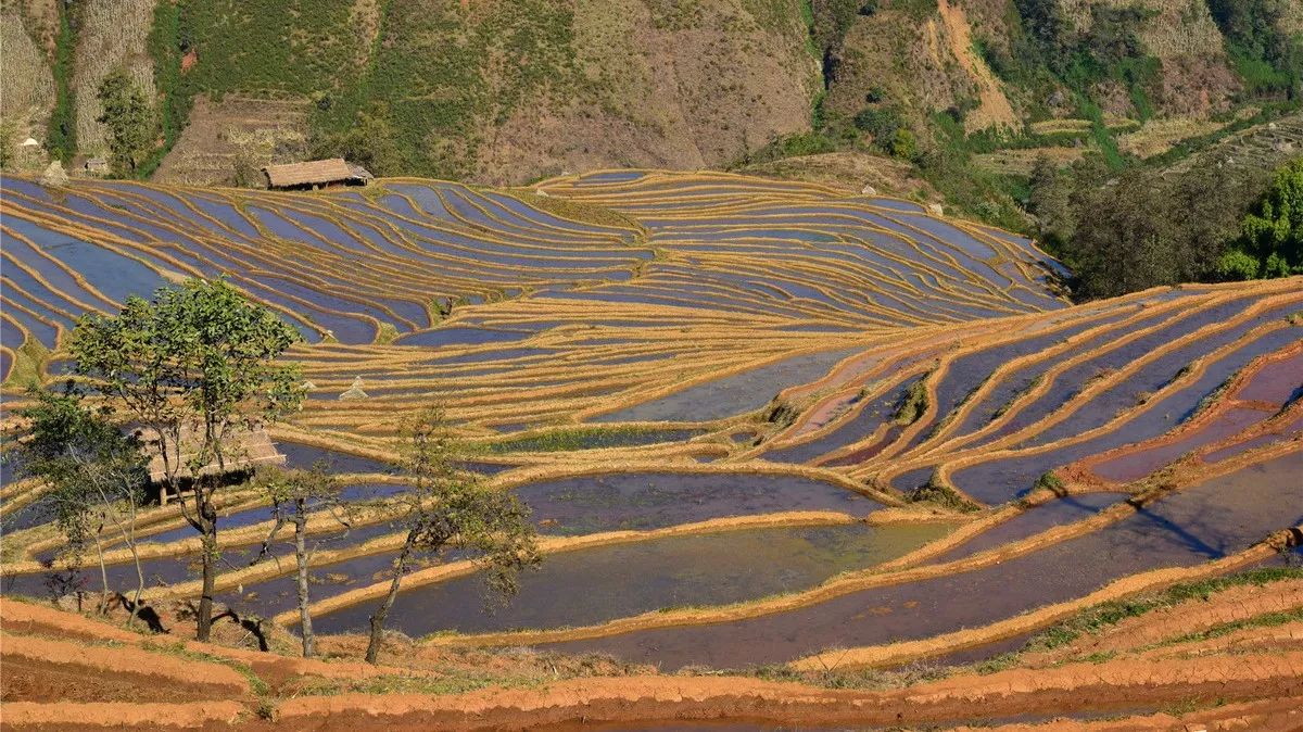 米易旅游景区以民族史迹,生态农业和浓厚的乡村为特色,自然与