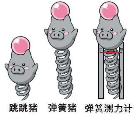 盘点那些名称被玩坏了的神奇宝贝原来乘龙还有一种究极形态