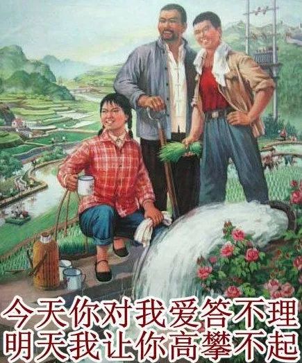 您有一波革命画报表情包待接收