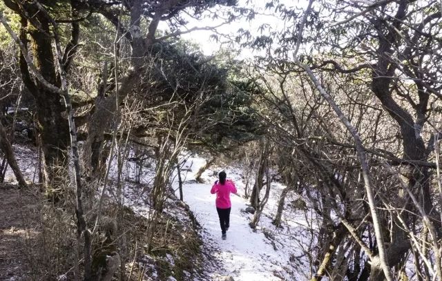 美食之路 | 絕美冰瀑搭配山野火鍋，奏響冬日冰與火的樂章 娛樂 第6張