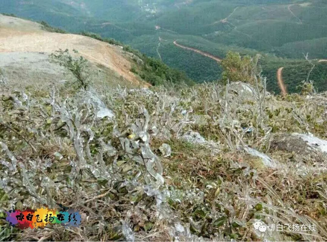 爆料:博白云飞嶂山顶结冰了,快来看!