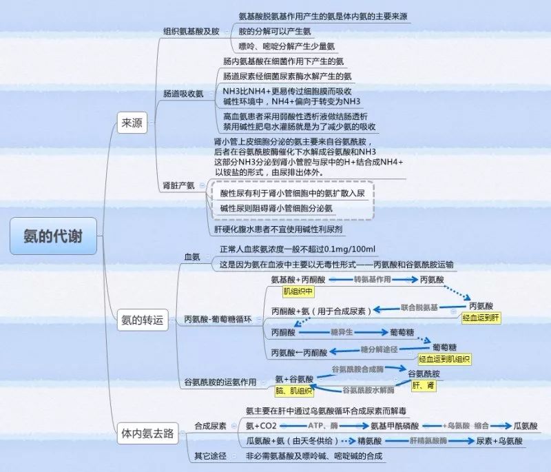 生物化学思维导图集合