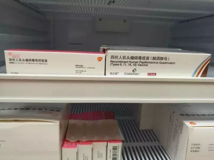 四价宫颈癌疫苗今天到宜昌了!经期能打吗?怀孕能打吗?