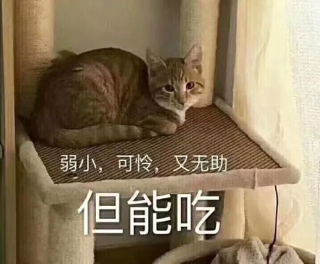 何以解忧 唯有暴吃