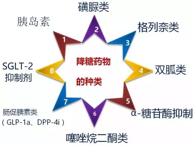 口服降糖药物根据作用效果的不同,可以分为促胰岛素分泌剂(磺脲类