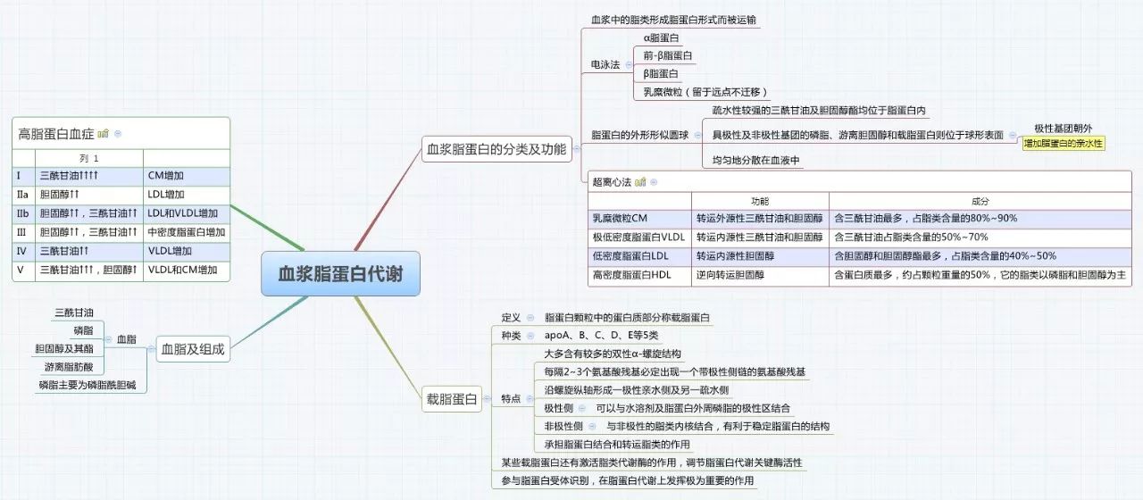 生物化学思维导图集合