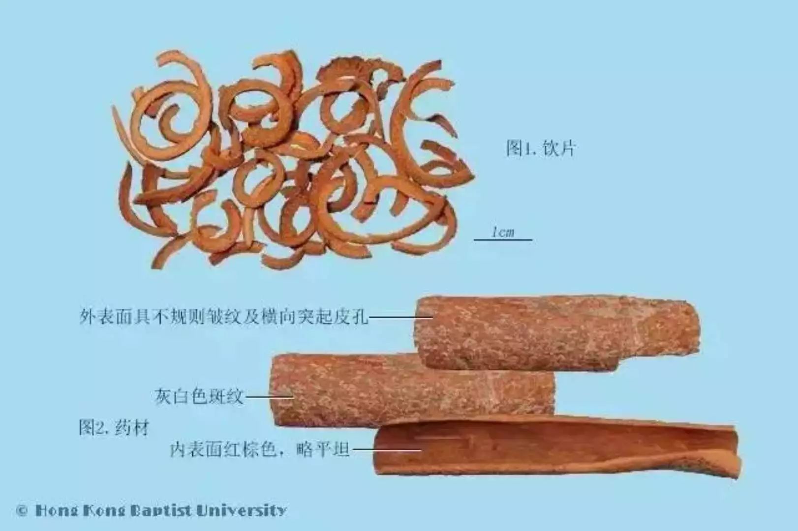 称呼:桂,玉桂,肉桂,薄桂,安桂,牡桂,广肉桂,紫油桂,桂心,肉桂末,桂皮