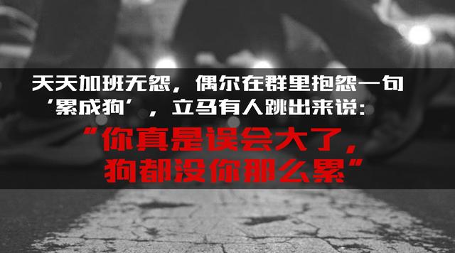 天天加班无怨,偶尔在群里抱怨一句"累成狗",立马有人跳出来说:"你真是