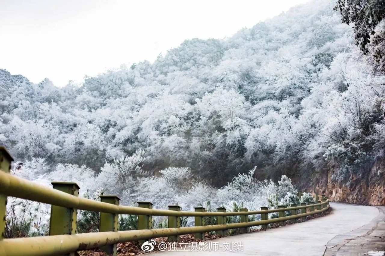 回龙山/想看的抓紧时间出发先来一拨最新雪景图这些山川在雪里越发