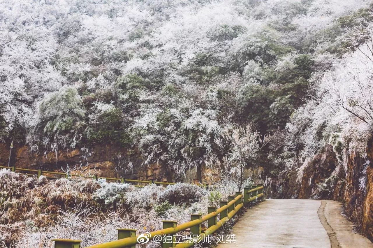 回龙山/想看的抓紧时间出发先来一拨最新雪景图这些山川在雪里越发