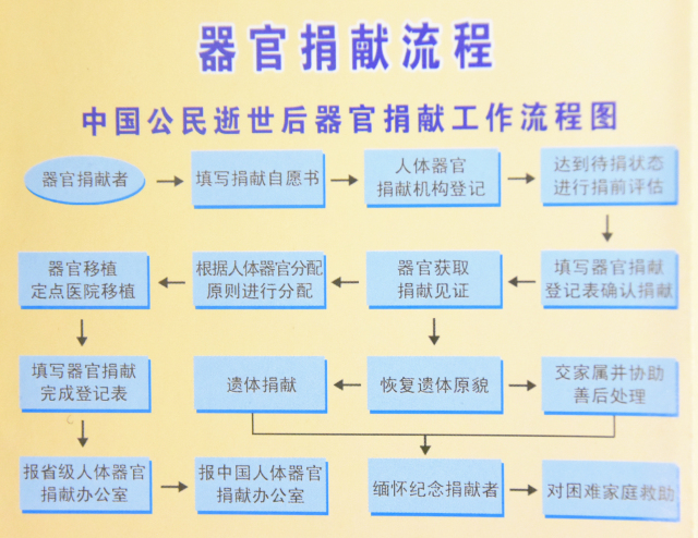 器官捐献:让生命走得更远