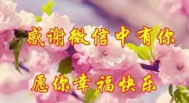 早上好,一曲《相逢是首歌》送给所有朋友!太美了!