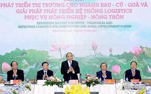 蔬菜水果市场开发论坛在越南同塔省举行图片