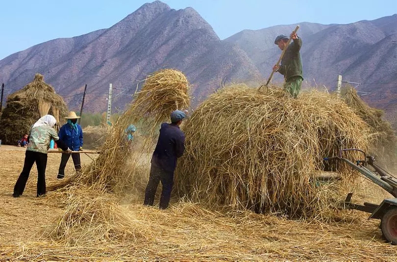 "麦垛,一个已经消失的东西!在那时却是我们的乐园!