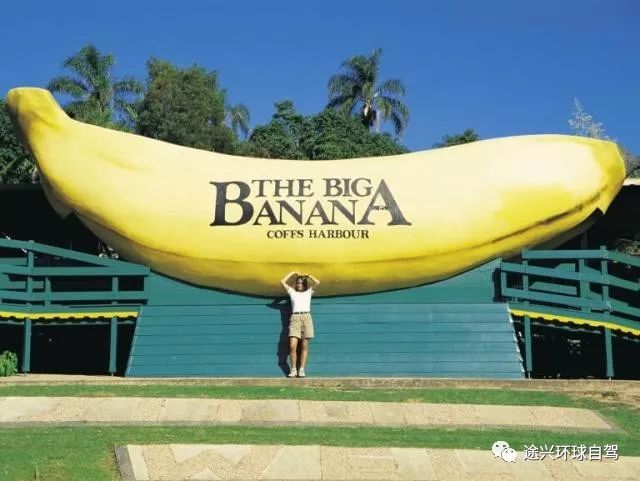 【大香蕉】(the big banana),科夫斯港标志性雕塑,拍照打卡必经之地.