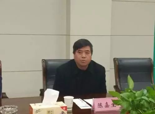 铜陵化学董事长,党委书记陈嘉生安徽铜陵化学工业集团董事长,党委书记