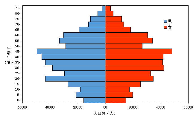 人口金字塔图_人口年龄结构金字塔图的判读(3)