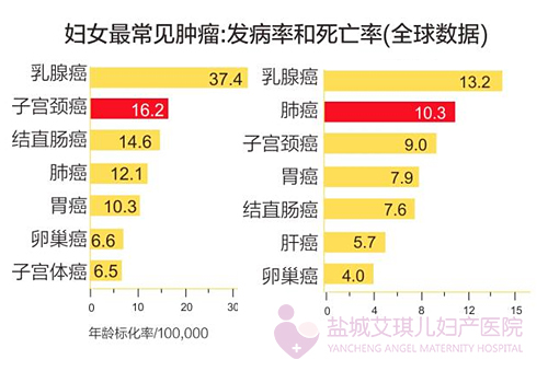 盐城每年有多少人口啊_盐城人口老龄化