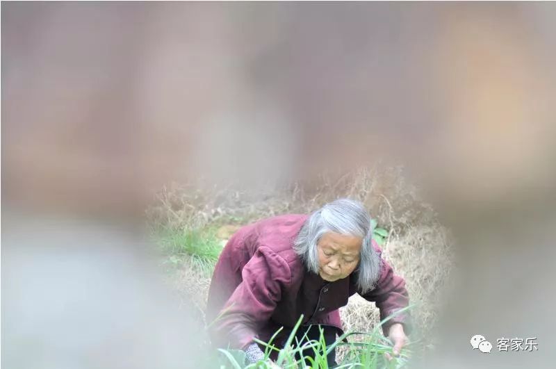 饶平婚纱照_饶平二中图片(3)