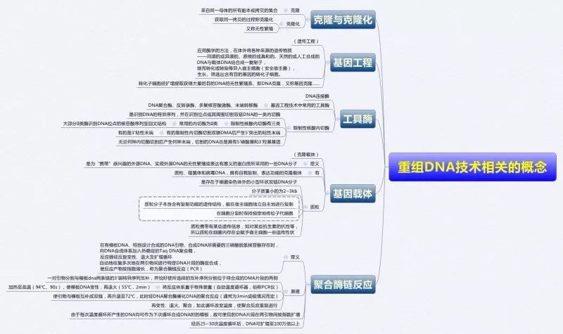 生物化学思维导图集合