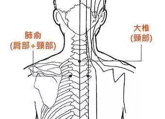 大椎穴位于人体的颈部下端