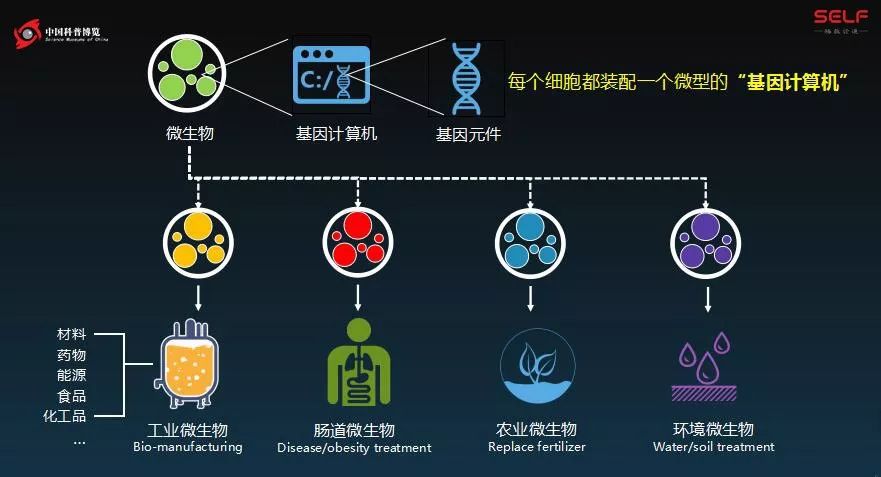 我们培养了一种微生物,它把塑料降解缩短了299年