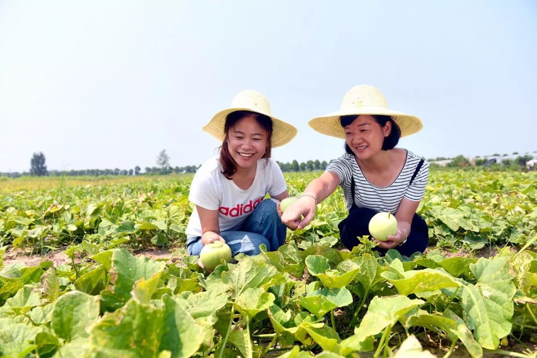 农业产业化结硕果:四季有景,这里成富民脱贫的开心农场