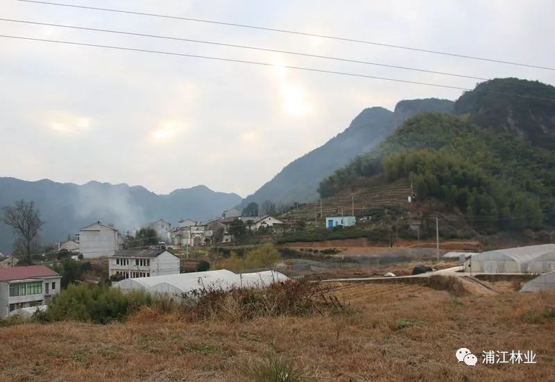 瞿岩岭古道:从杭坪镇塘雪村果树坞自然村至虞宅乡新光村,全长1.