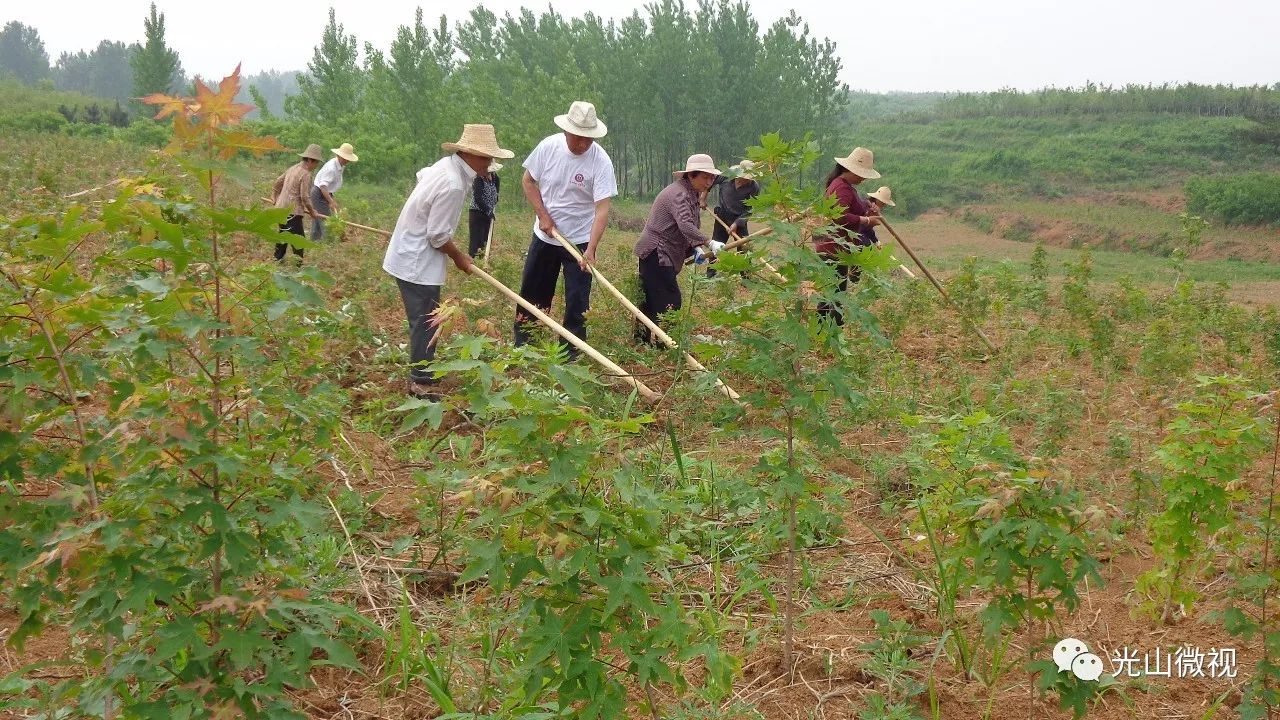 光山邹棚人口_河南光山净居寺