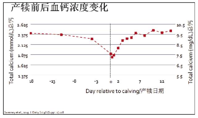 美国jessica mcart博士:围产期奶牛低血钙症的研究进展