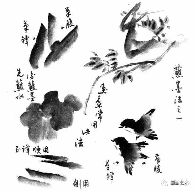 写意花鸟画笔墨技法详解!