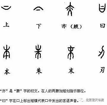 形旁是指示字的意思或类属,声旁则表示字的相同或相近发音.