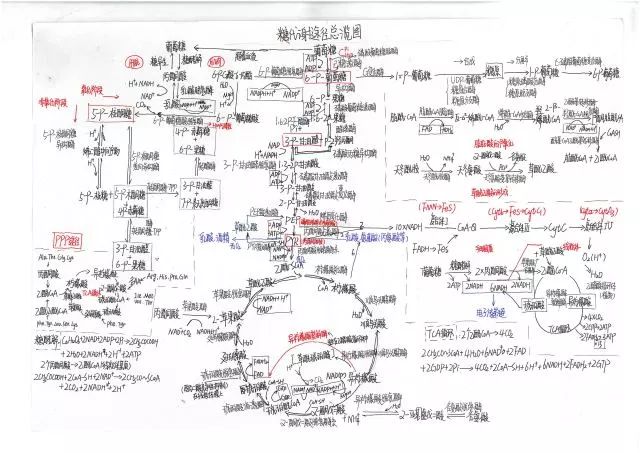 生物科学与工程学院首届生物化学制图大赛