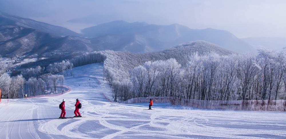 雷竞技RAYBET滑雪畅享冬日的速度与激情(图1)