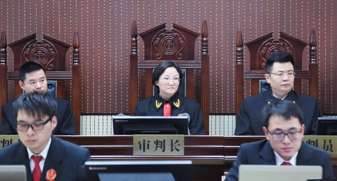 例环境公益诉讼案开庭,濮阳市中级人民法院代