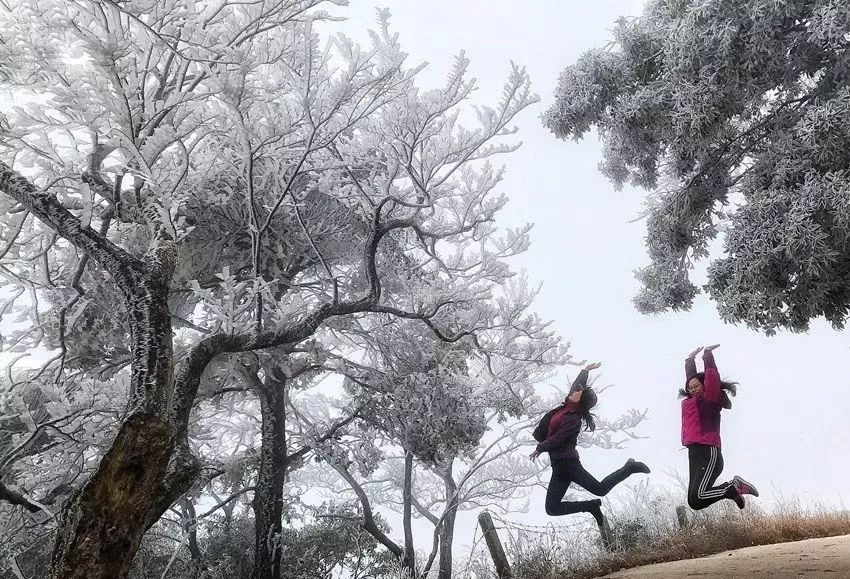 霜冻蓝色预警最低气温跌至0兴国雪景已陆续上线啦